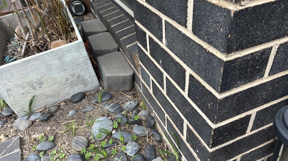 Termite and pest risk, Deanside
