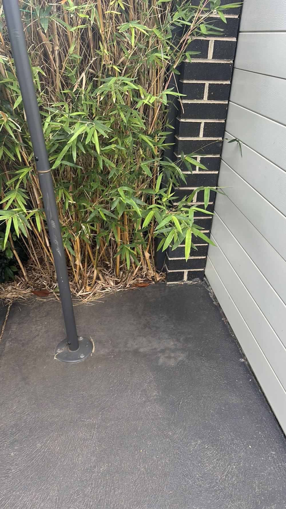 Damp, shaded planting at the wall base, a conducive condition for termites, Braybrook, Deanside